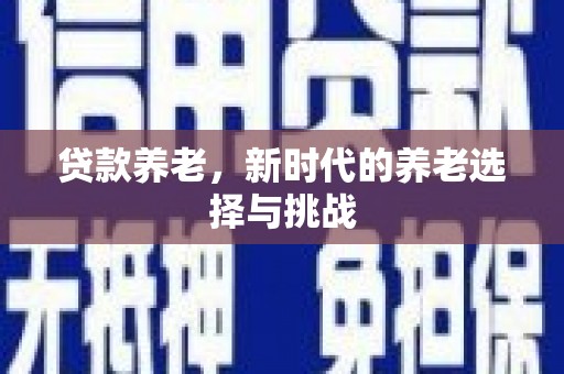 阳原贷款养老，新时代的养老选择与挑战