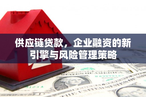 工布江达供应链贷款，企业融资的新引擎与风险管理策略