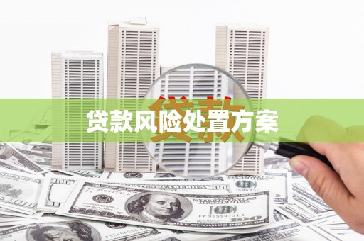 平江贷款风险处置方案