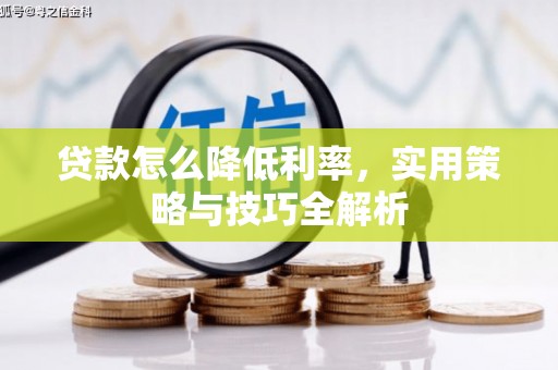 那坡贷款怎么降低利率，实用策略与技巧全解析