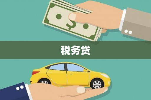 隆德税务贷