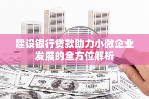 竹山建设银行贷款助力小微企业发展的全方位解析
