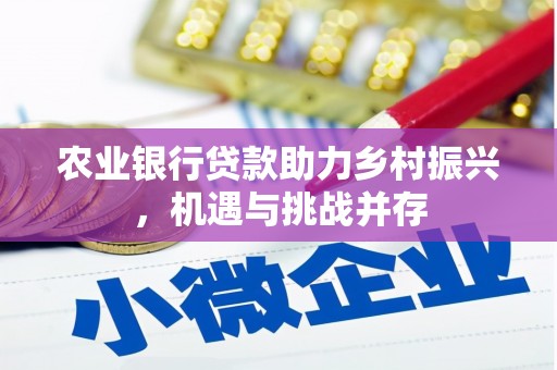 新田农业银行贷款助力乡村振兴，机遇与挑战并存