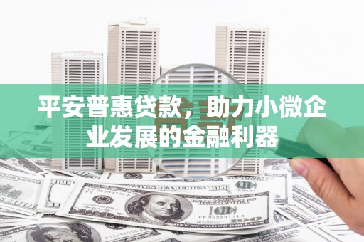 新昌平安普惠贷款，助力小微企业发展的金融利器