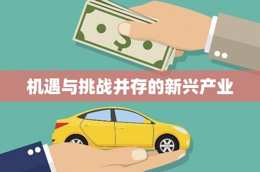 六横机遇与挑战并存的新兴产业