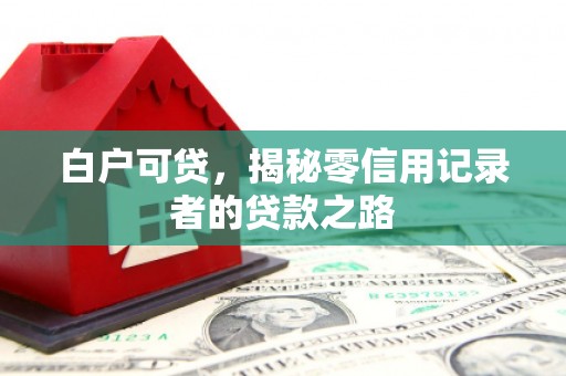 临潭白户可贷，揭秘零信用记录者的贷款之路
