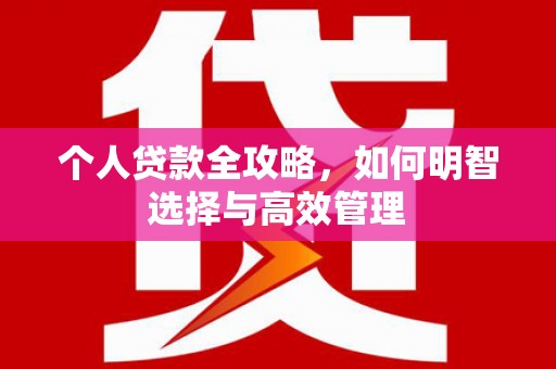 龙凤个人贷款全攻略，如何明智选择与高效管理