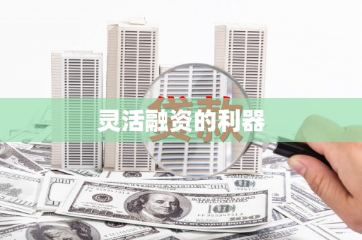 平果灵活融资的利器