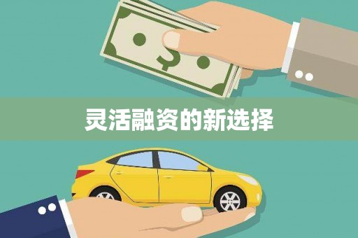 安县灵活融资的新选择