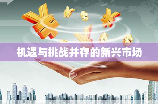 桐城机遇与挑战并存的新兴市场