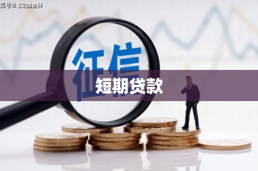 鱼池短期贷款