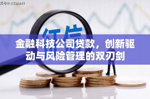 马尔康金融科技公司贷款，创新驱动与风险管理的双刃剑
